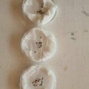 창의실험과학 이미지