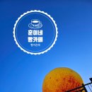 여주-0325 이미지