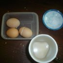 복영양탕 이미지