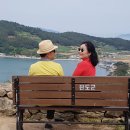 청산도 Daum카페