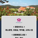 그늘집(록키)