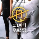 피티스미스 네이버블로그