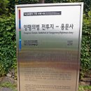 관광단지 주차장 Daum카페