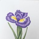 보테니컬 이미지