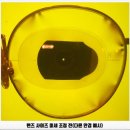 그루브안경원 | LINDBERG THINTANIUM 5501 + ZEIZZ 스마트라이프 프로 GD 코팅 가공 후기