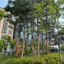 풀내음근린공원 이미지