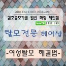 김호증모가발·소호헤어