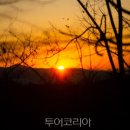 호랑이푸드 이미지