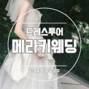 메라키헤어 | W5-1. 화려한 비즈맛집 '메라키웨딩' 드레스투어 후기_당일 계약혜택 공유