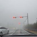 하례학림로 이미지