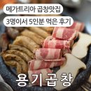 두대교사거리 | 메가트리아 곱창맛집 용기곱창, 모둠구이부터 볶음밥까지 만족한 후기