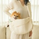 위고코리아 주식회사 이미지