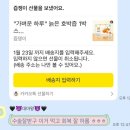 강남동로 100번길1 | 26년 1월 일상