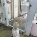 아임그루머 이미지