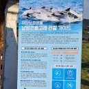 제주시 구좌읍 김녕리 [김녕항&amp;청굴물&amp;도대불&amp;해녀 불턱&amp;세기알 해변] 이미지