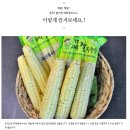 위팜 | 🚜 괴산 대학찰옥수수 냉동 삶은 찐 생옥수수 리뷰 + 허니스위팜 함께구매하기 좋은 추천상품