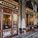 플로리안(5) 이미지