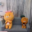 라이언의보물섬