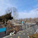 수안보족욕길 이미지