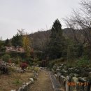 팔용산 체육공원 이미지