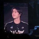 에이엠피커피 | [Xdinary Heroes] 2026 엑디즈 썸머콘 후기