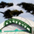 목도재래시장 이미지