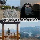 부산 일출 명소, 윤산 등산코스 부곡암 주차장 후기