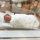 봄빛약국 | 봄빛병원 제왕절개 출산후기(다인실,1인실)