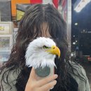 카이헤어 | 히피펌 젤리펌 맛집 청라 카이정헤어 방문 후기(내돈내산)