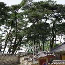 영주 소수서원 강학당 이미지