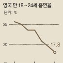 센시블 이미지