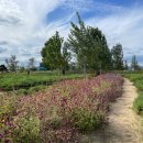 제이엠 오토모빌 이미지