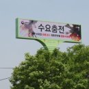 수요춤전-박숙자의 춤 네이버블로그