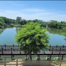 만물대장 이미지