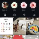 포포픽스 이미지