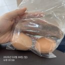 개미는 뚠뚠 오늘도 뚠뚠 열심히 운동하네 뚠뚠