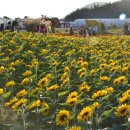 (주)힐링애드 이미지