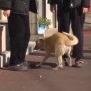 둘만농장 이미지