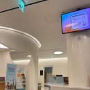 오라고동물병원 | 대전 유성미즈제일여성병원 제왕절개 vip3 5박6일 후기 (경산모 + 제왕절개 회복 팁💡)