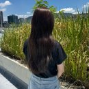 양산 염색 잘하는 곳 증산 미용실 블라썸헤어 애쉬브라운 염색 레이어드 커트 후기