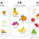 다이어트랩 이미지