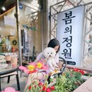 자연 애개 이미지