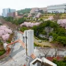 전남대학교