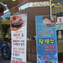 마인츠돔유성점