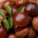 청풍명월 이미지