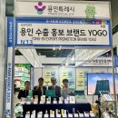 요고(YOGO)