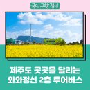 와와정선 2층 투어버스 | 제주도 곳곳을 달리는 와와정선 2층 투어버스