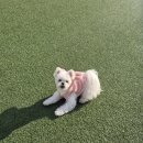 구미 조아뷔페 솔직리뷰