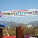 배*연