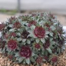 송정하우스 이미지